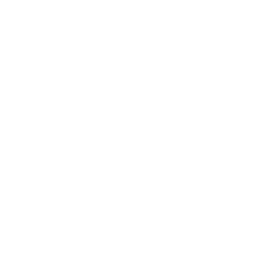 My Flagship Program: The Emergence by Deby